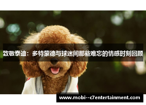 致敬泰迪：多特蒙德与球迷间那些难忘的情感时刻回顾