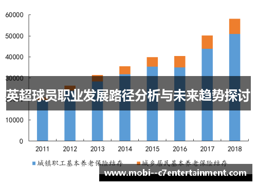 英超球员职业发展路径分析与未来趋势探讨 英超球员职业发展路径分析与未来趋势探讨
