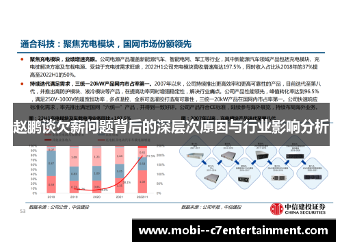 赵鹏谈欠薪问题背后的深层次原因与行业影响分析