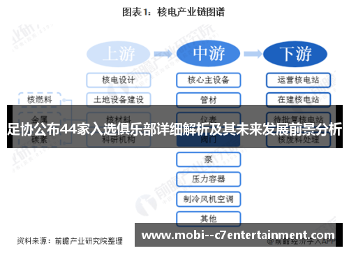 足协公布44家入选俱乐部详细解析及其未来发展前景分析