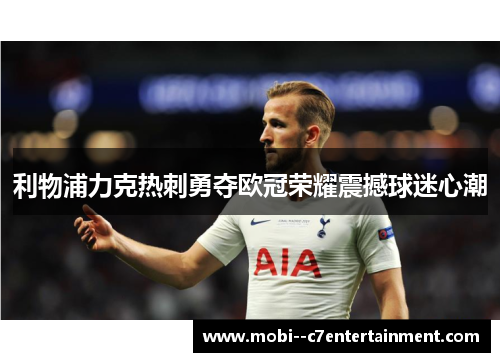 利物浦力克热刺勇夺欧冠荣耀震撼球迷心潮