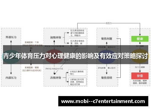 青少年体育压力对心理健康的影响及有效应对策略探讨 青少年体育压力对心理健康的影响及有效应对策略探讨